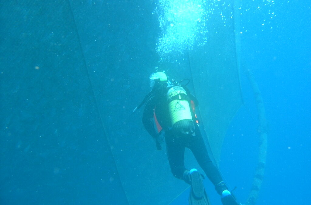 ASSISTANCE AND SERVICES