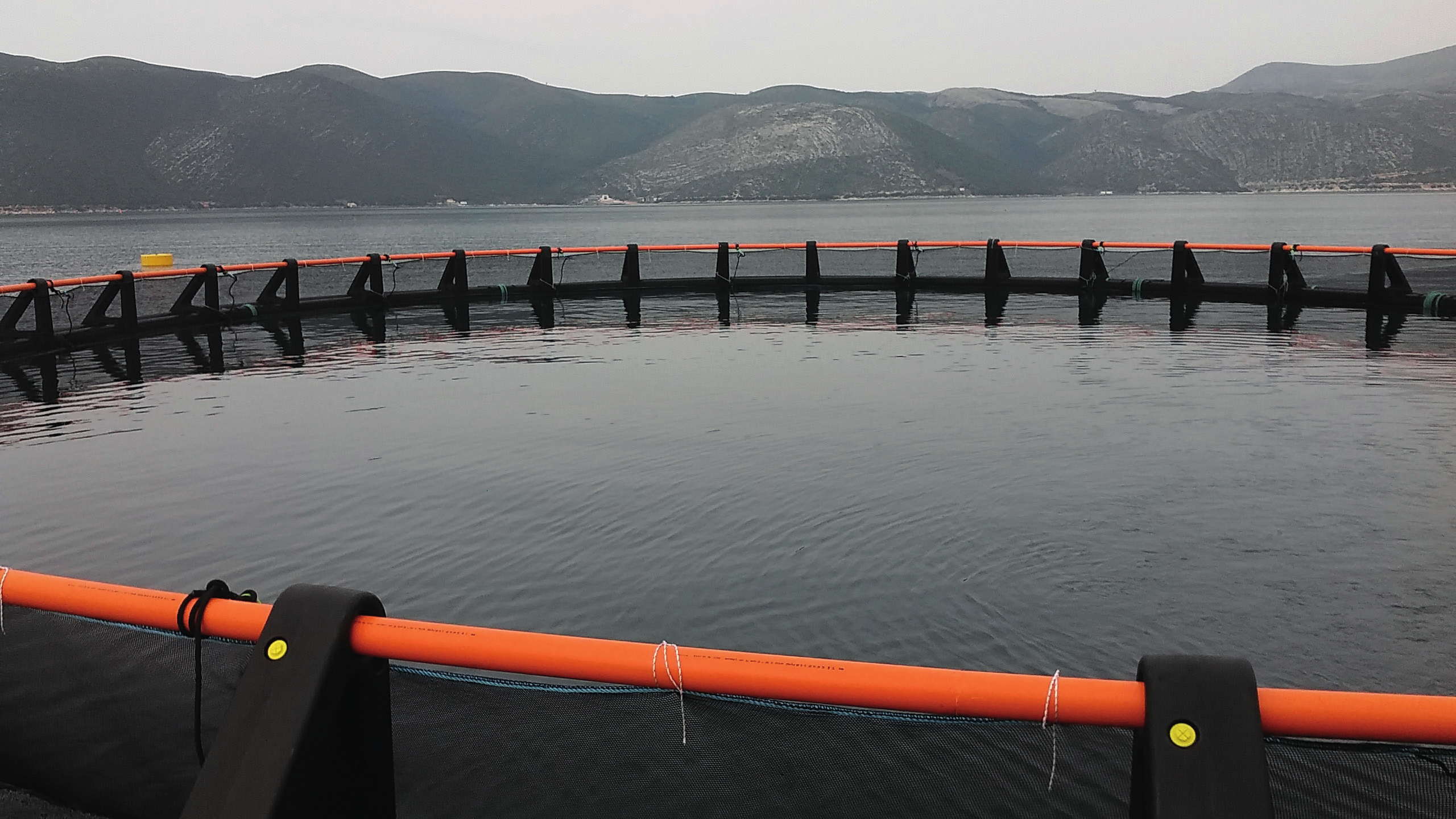 Technocage, le gabbie off-shore chiavi in mano