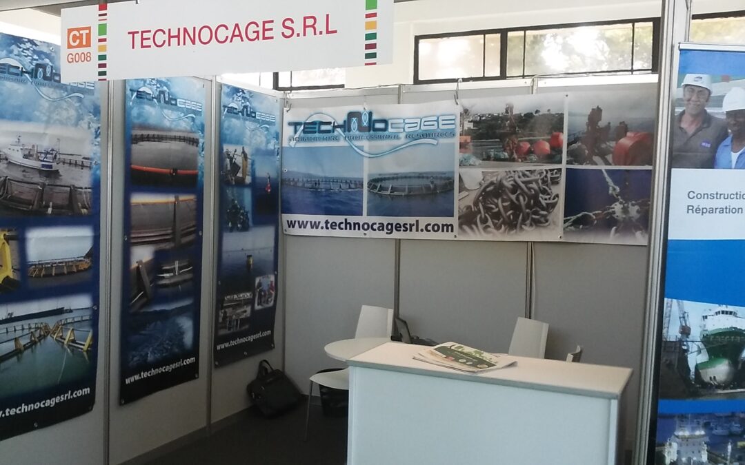 Sima-Sipsa Alger 2016